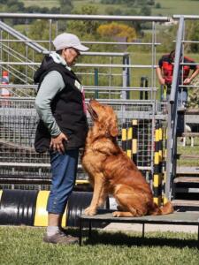 aIMG-250514-WA0012
