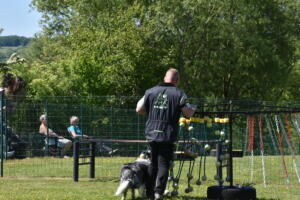 aLdDSC-037